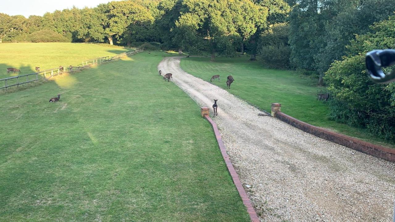 Langton Matravers Yards Brake On 40 Acres Of Private Land 빌라 외부 사진