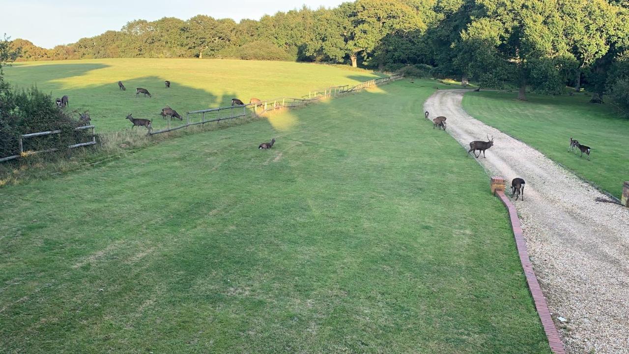 Langton Matravers Yards Brake On 40 Acres Of Private Land 빌라 외부 사진