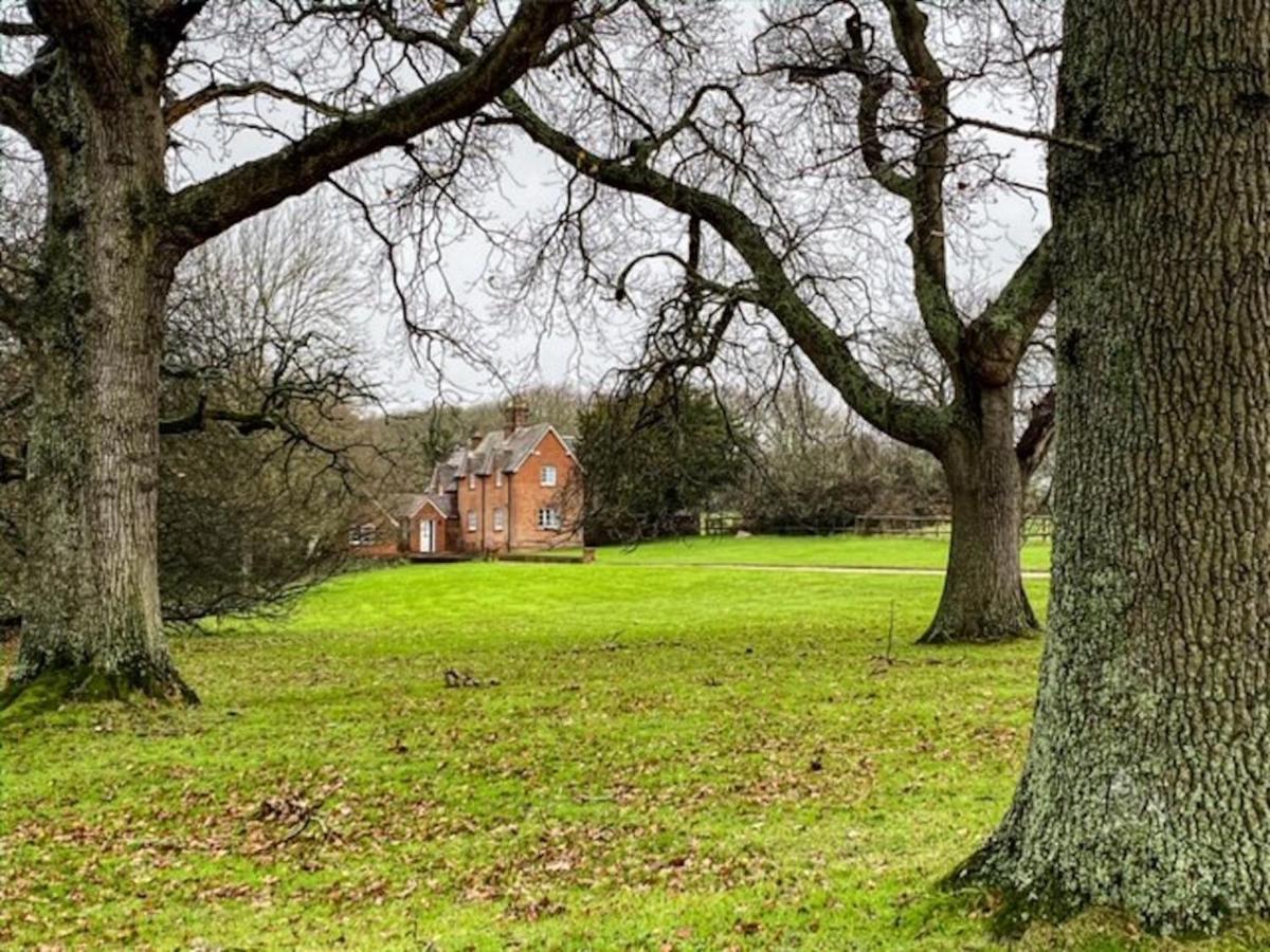 Langton Matravers Yards Brake On 40 Acres Of Private Land 빌라 외부 사진