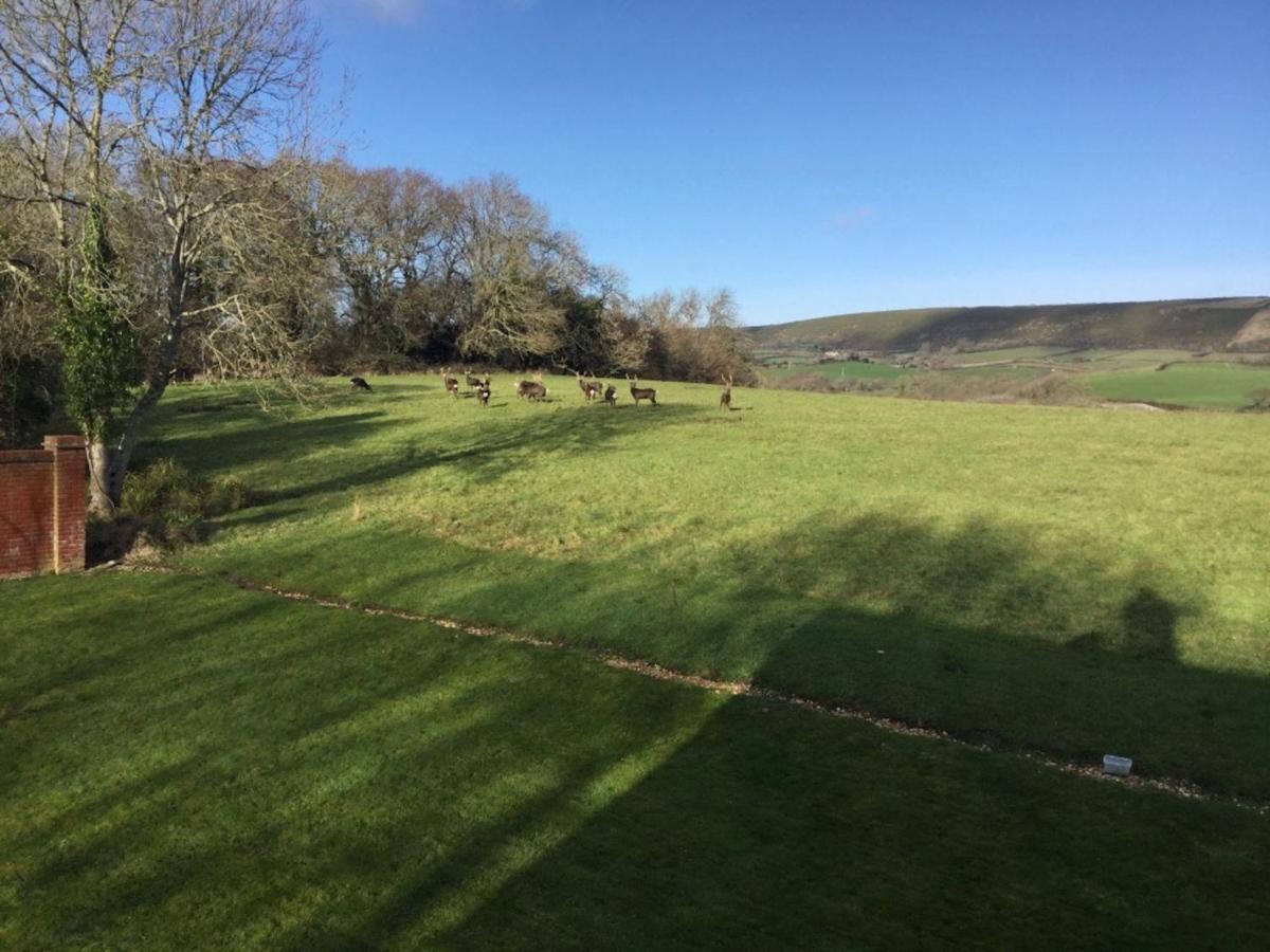 Langton Matravers Yards Brake On 40 Acres Of Private Land 빌라 외부 사진