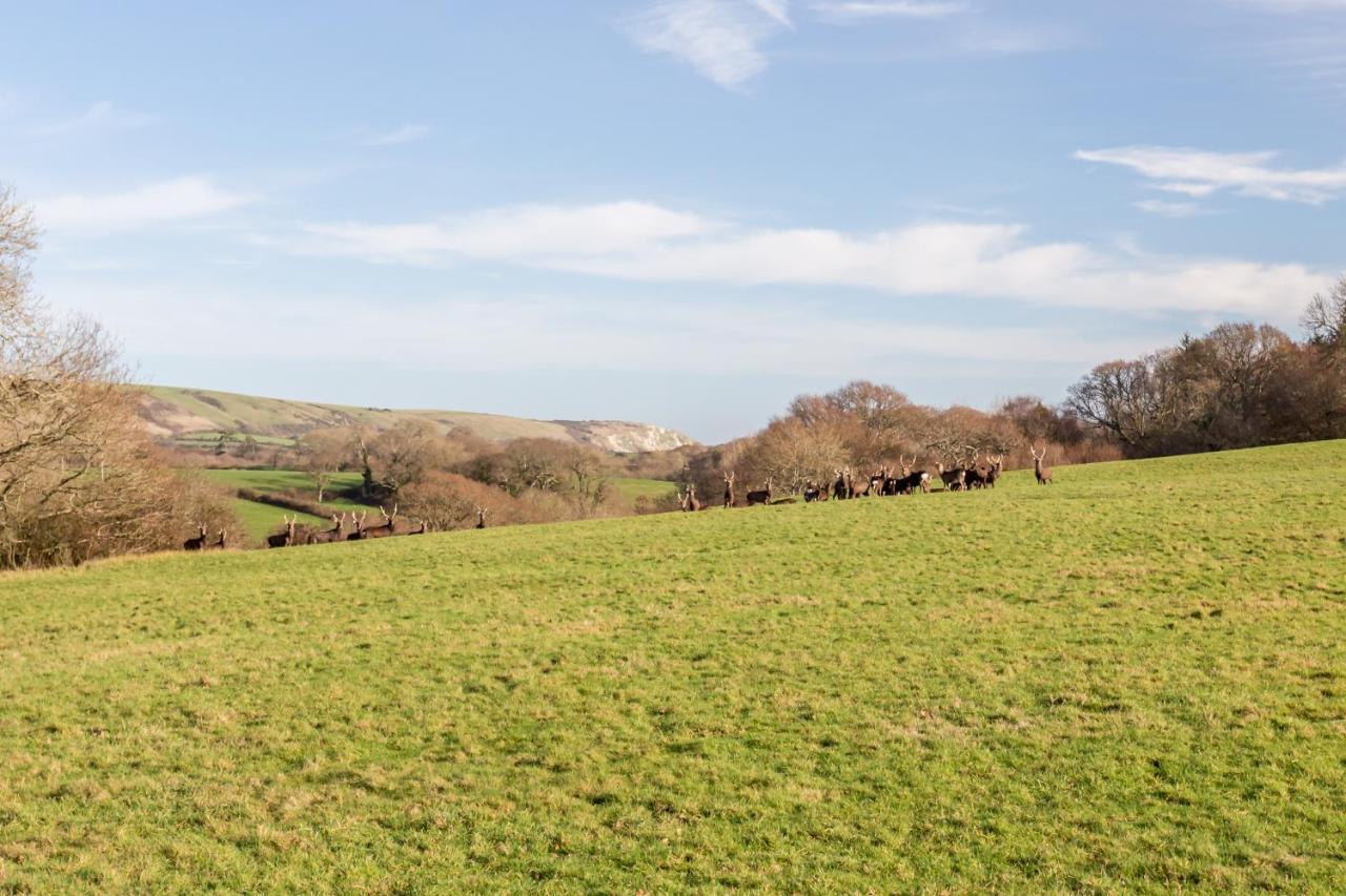 Langton Matravers Yards Brake On 40 Acres Of Private Land 빌라 외부 사진