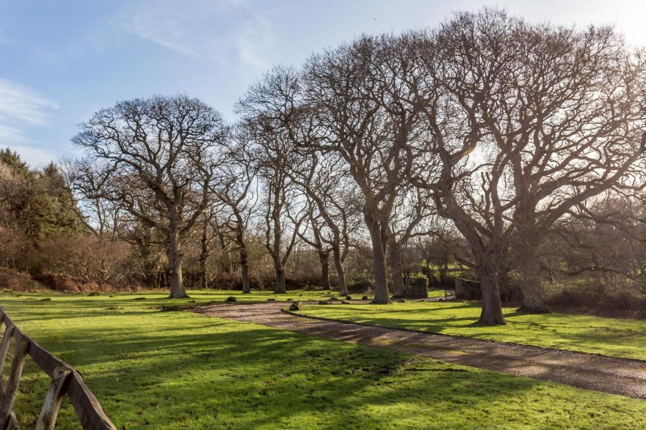 Langton Matravers Yards Brake On 40 Acres Of Private Land 빌라 외부 사진